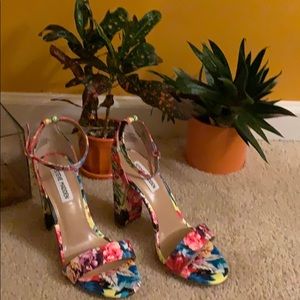 Flowers in the Garden